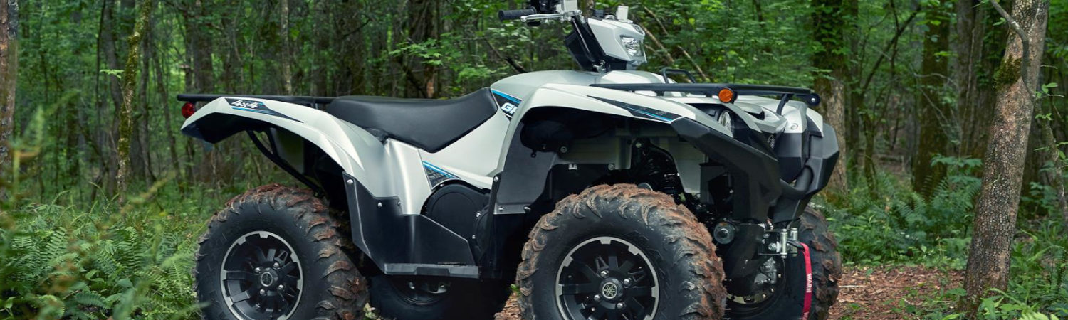 2020 Yamaha Grizzly 700 for sale in Nash Powersports, Auburn, Washington