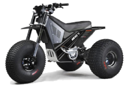 Electric for sale in South Auburn, WA